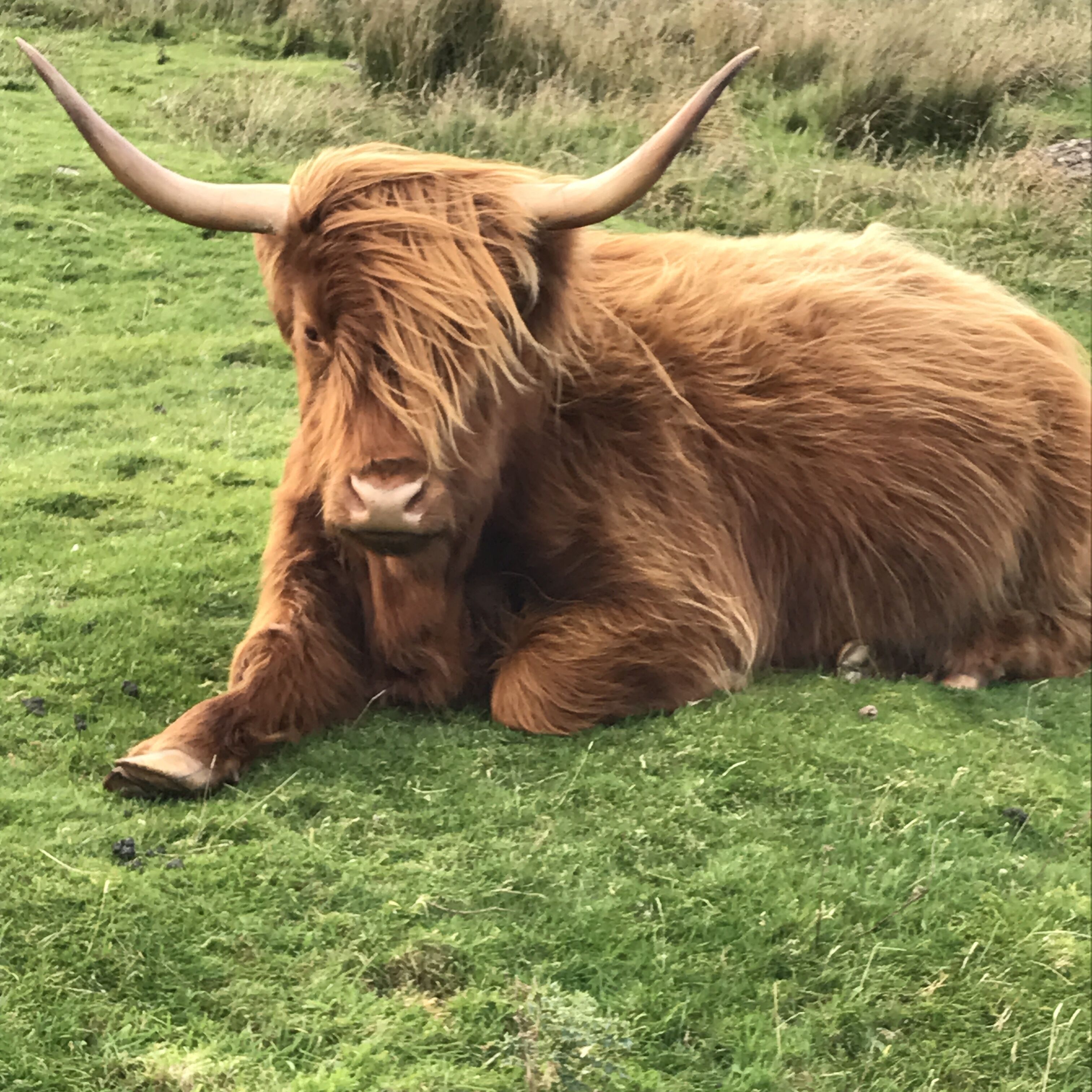 Foto - The West Highland Way Hotel and Retreat Accommodation