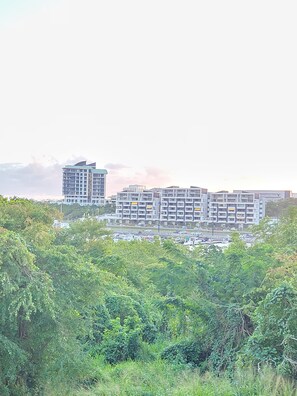 Vista aérea