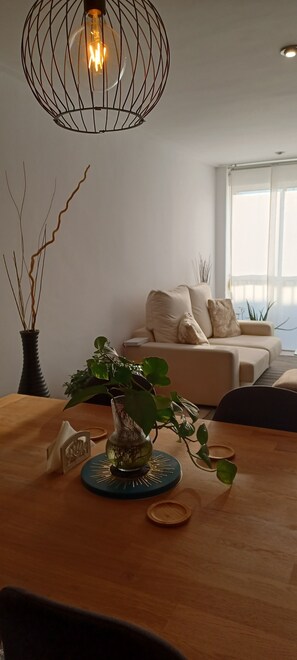 TV, books, stereo