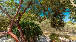 Un chemin de pierres qui traverse un jardin planté d’arbres et d’arbustes.