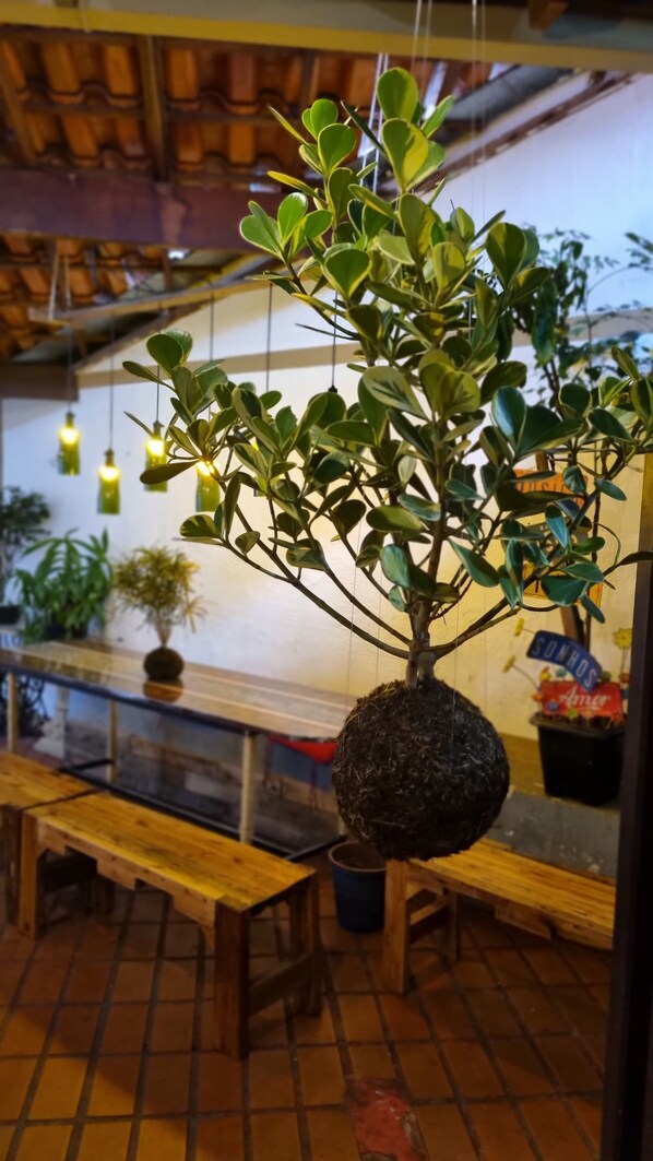 Exterior - Savassi Hostel Loft (Belo Horizonte)