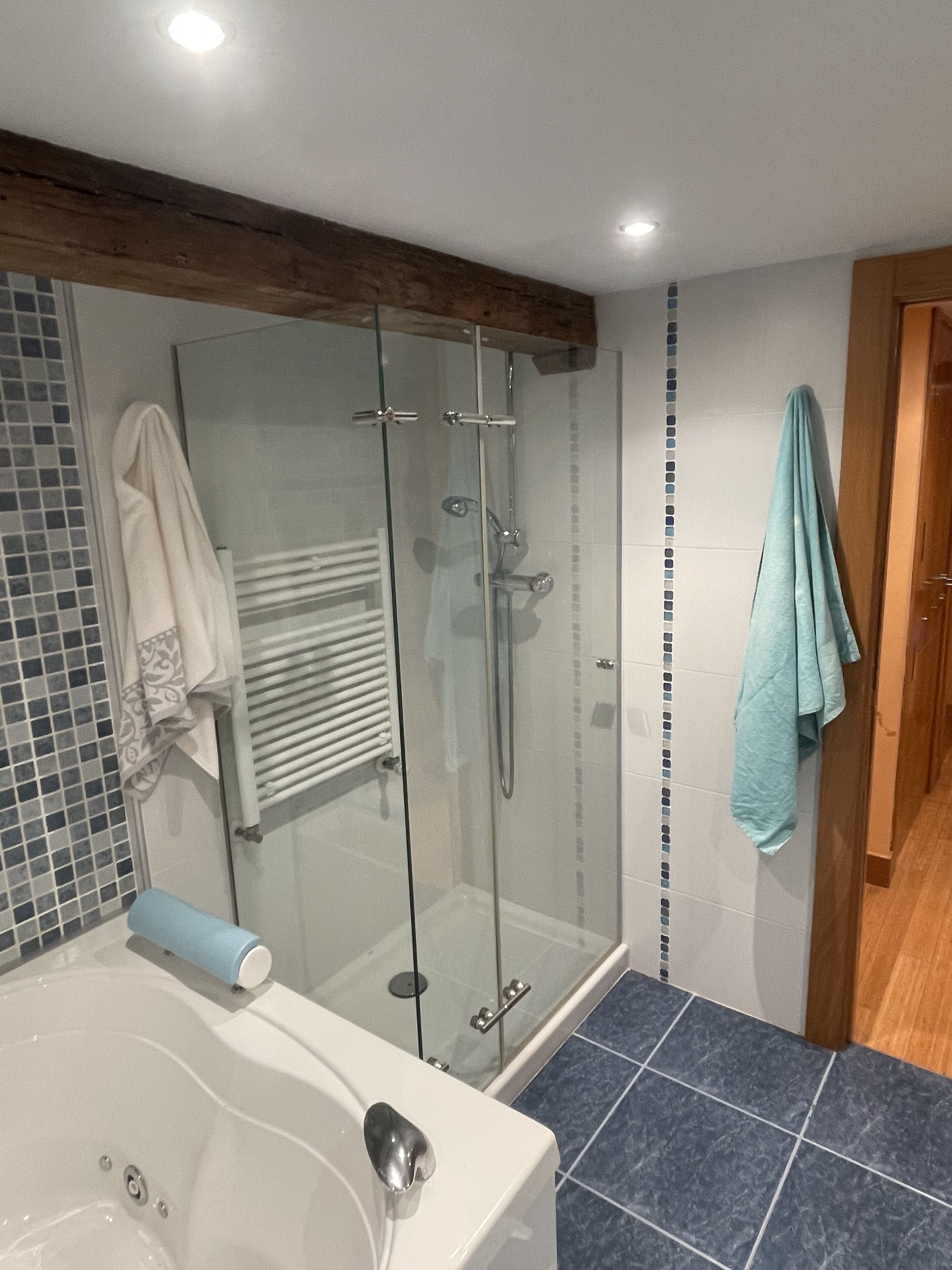 Dusche, Whirlpool, Haartrockner, Handtücher