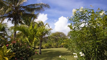 Áreas de la propiedad