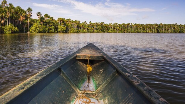 A canoe on calm water with a forested shoreline in the background.