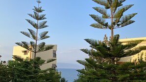 Una calle residencial con vista despejada al mar, rodeada de abundante vegetación y edificios modernos.