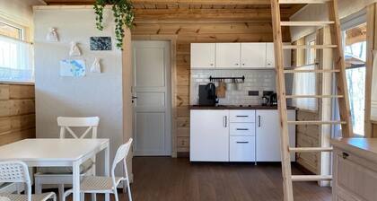 Locu Sala - Studio Type House - 'Ūsiņa'