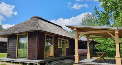 Locu Sala - Studio Type House - 'ĆȘsiĆa'