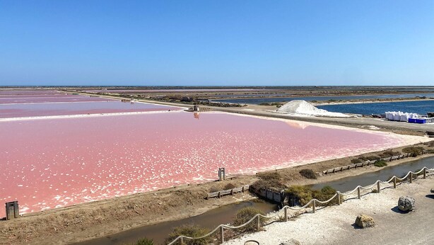 Una planicie salina con agua rosada, rodeada por una cerca y una carretera.