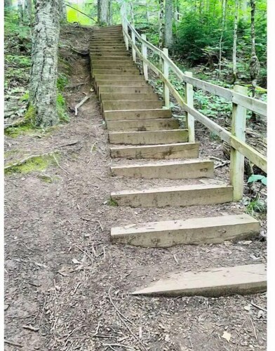 Ironwood Trailside Adventures