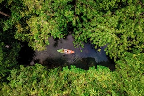 Ecotours - Cuyabeno Lodge (Palma Roja)