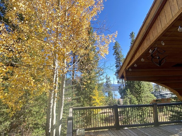 A wooden deck with a railing, overlooking a forested area with autumn-colored trees.
