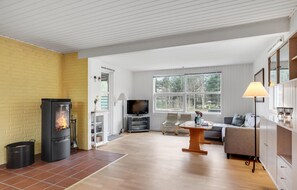 تلفزيون، مدفأة