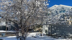 A residential area with a snow-covered tree and a house with a garage. - Single-family home steps from Boulder's Greenbelt (Boulder)