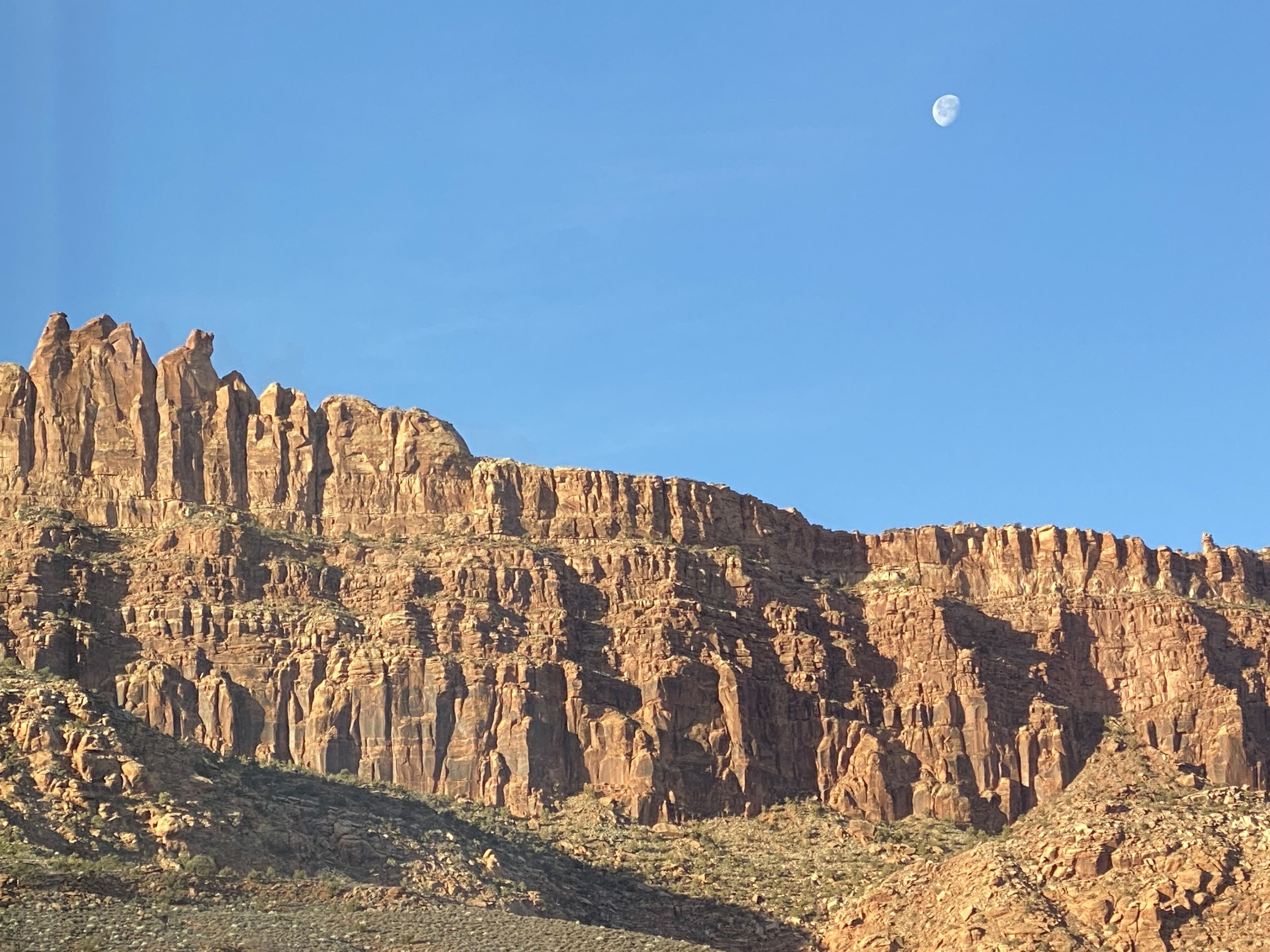 منوع