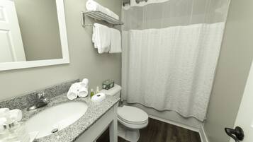 Hair dryer, towels, toilet paper