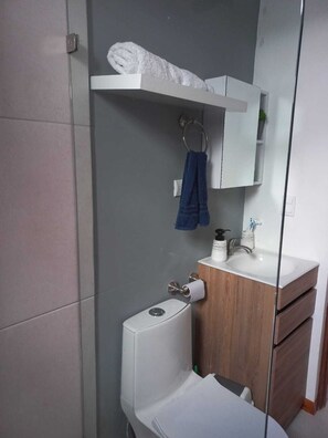 Hair dryer, towels, soap, shampoo - Fully equipped house with pool, near the best beaches of Guanacaste. (El Llano)