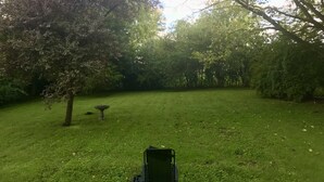 Un espacio al aire libre cubierto de césped, con árboles y una fuente para pájaros.