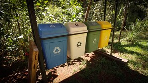 Cuatro contenedores de reciclaje en un entorno exterior con vegetación al fondo.