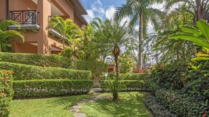 Un jardin bien entretenu, avec un chemin de pierres, des haies soigneusement taillées et une variété de plantes tropicales.