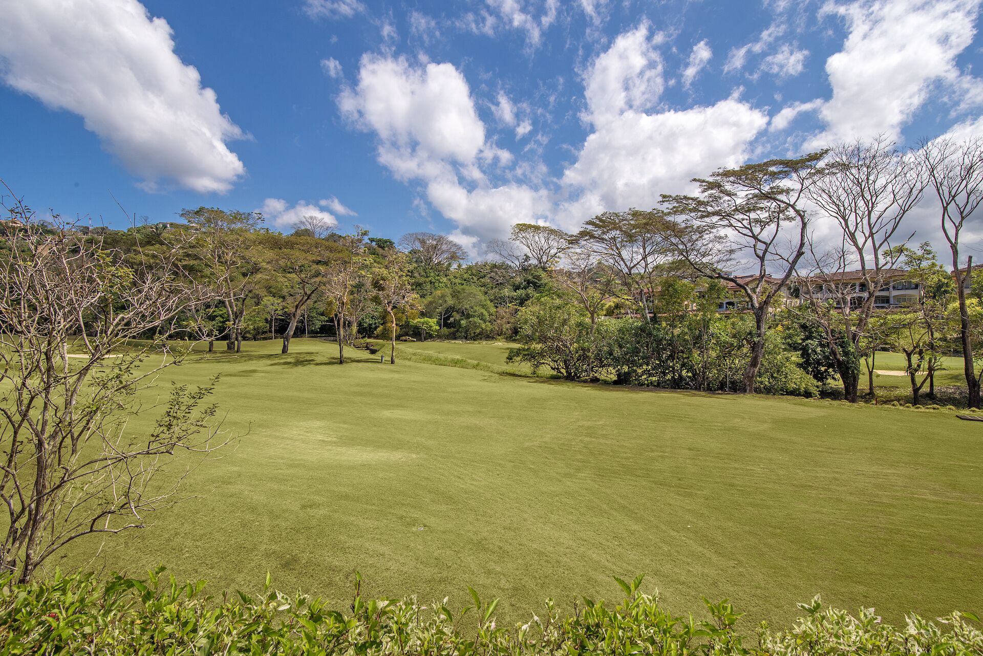 Un campo de golf con un césped bien cuidado, rodeado de árboles y un edificio al fondo.