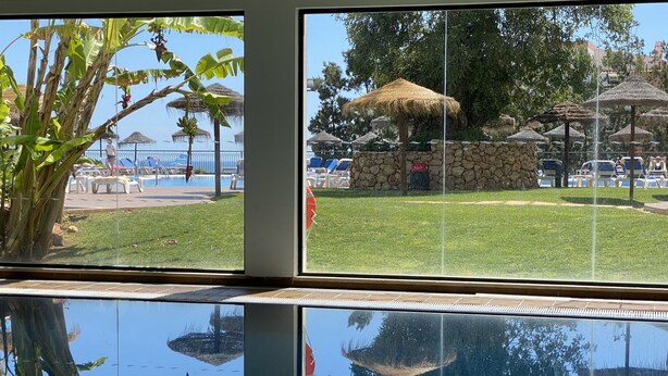 Vista de uma área de piscina com o reflexo de uma planta e uma estrutura de palha.