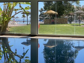 A view of a pool area with a reflection of a plant and a thatched structure.