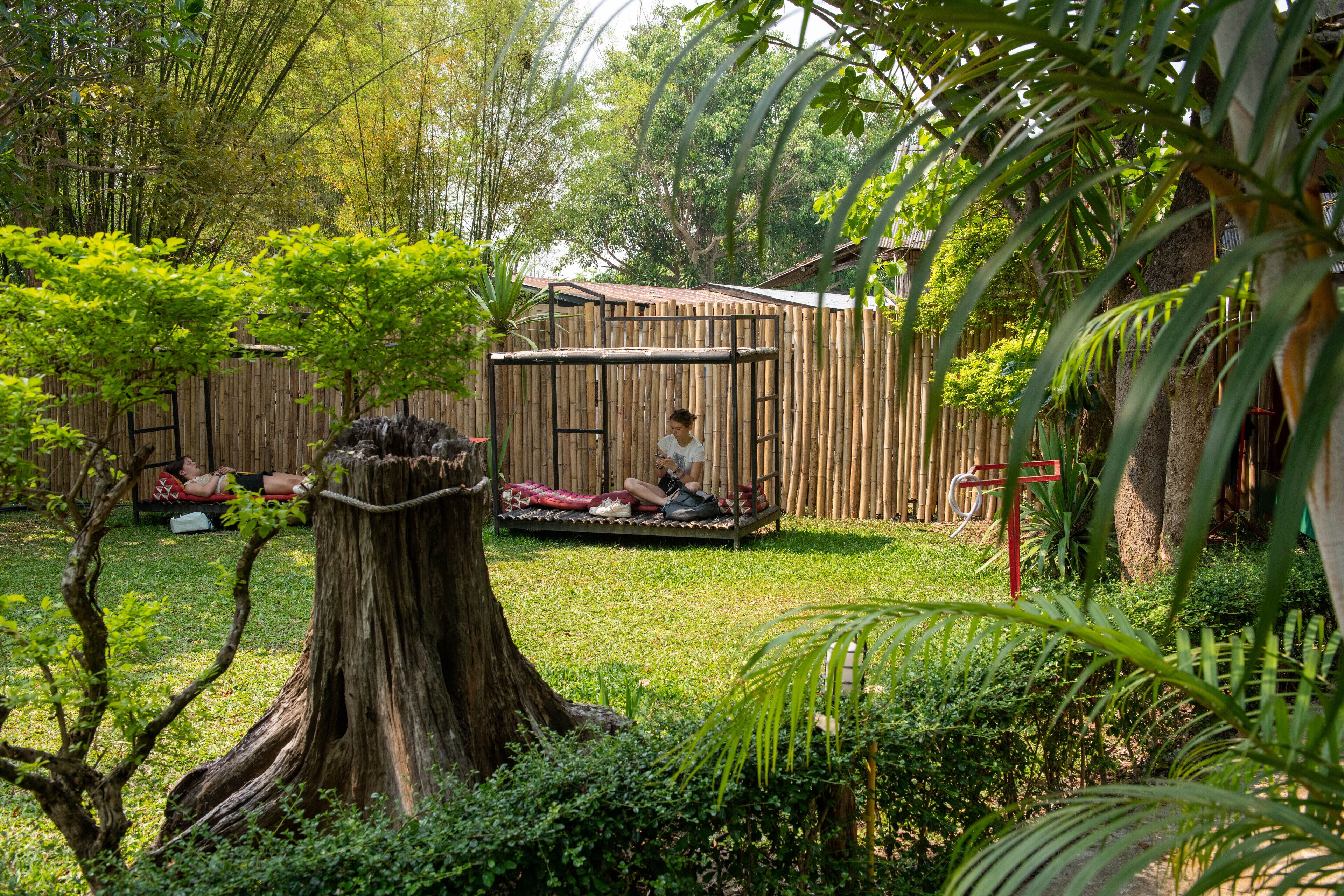 A bamboo fence, a wooden structure, and a person sitting on a bench in a garden.