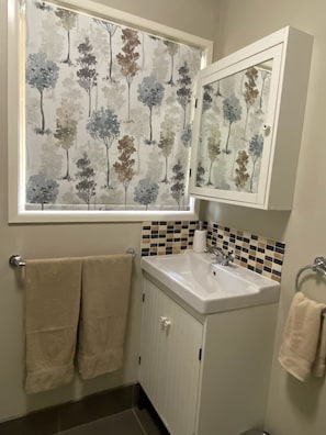 Shower, hair dryer, towels, soap