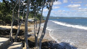 Un paisaje costero con costa rocosa, árboles y una vista despejada del mar.