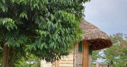Songbird Safari Lodge