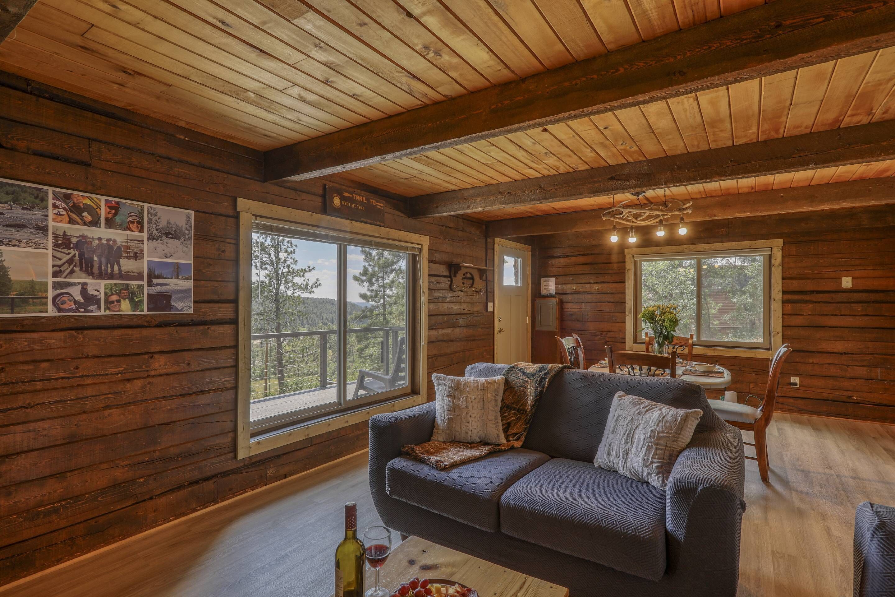 TV, fireplace, DVD player, books