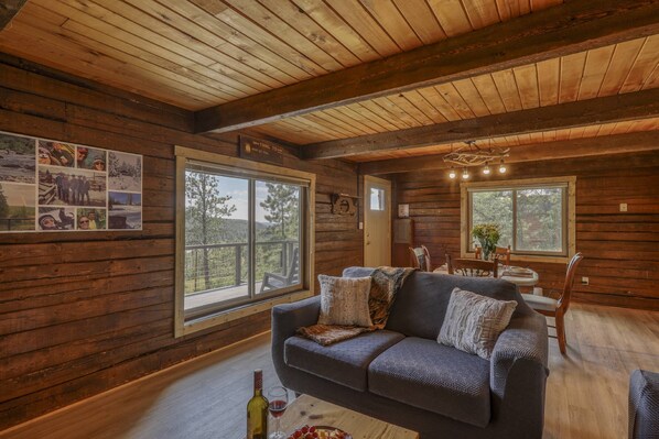 Televisión, chimenea, reproductor de DVD, libros