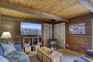 Télévision, cheminée, lecteur de DVD