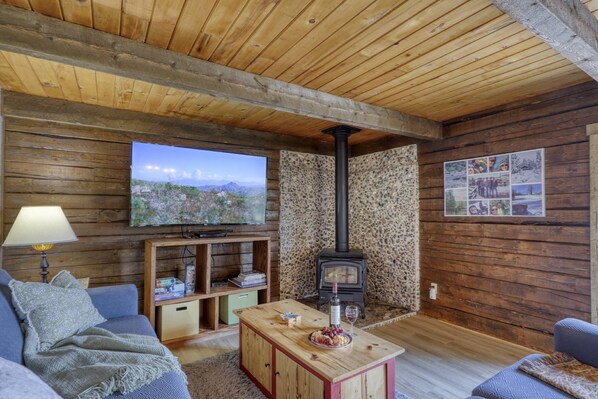 Televisión, chimenea y reproductor de DVD 