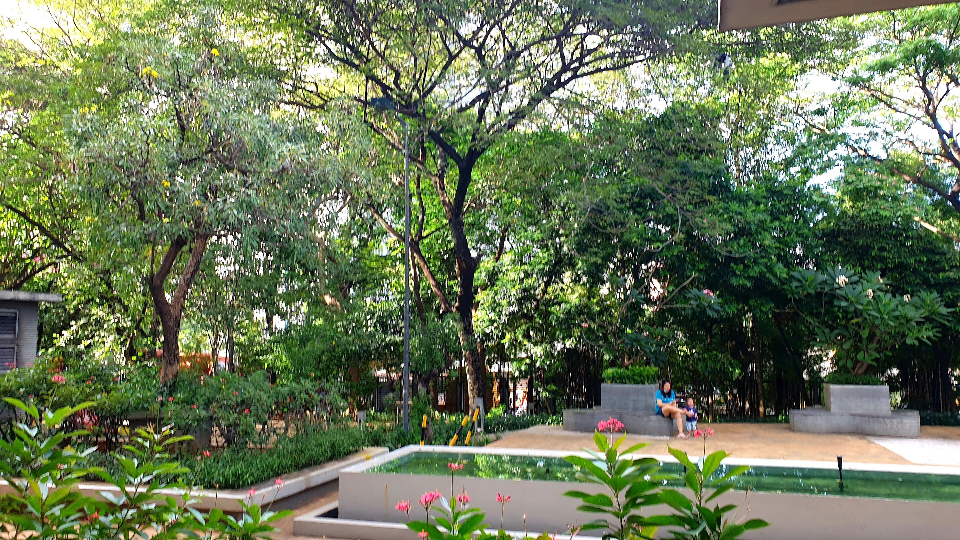 Àrea exterior de l'allotjament