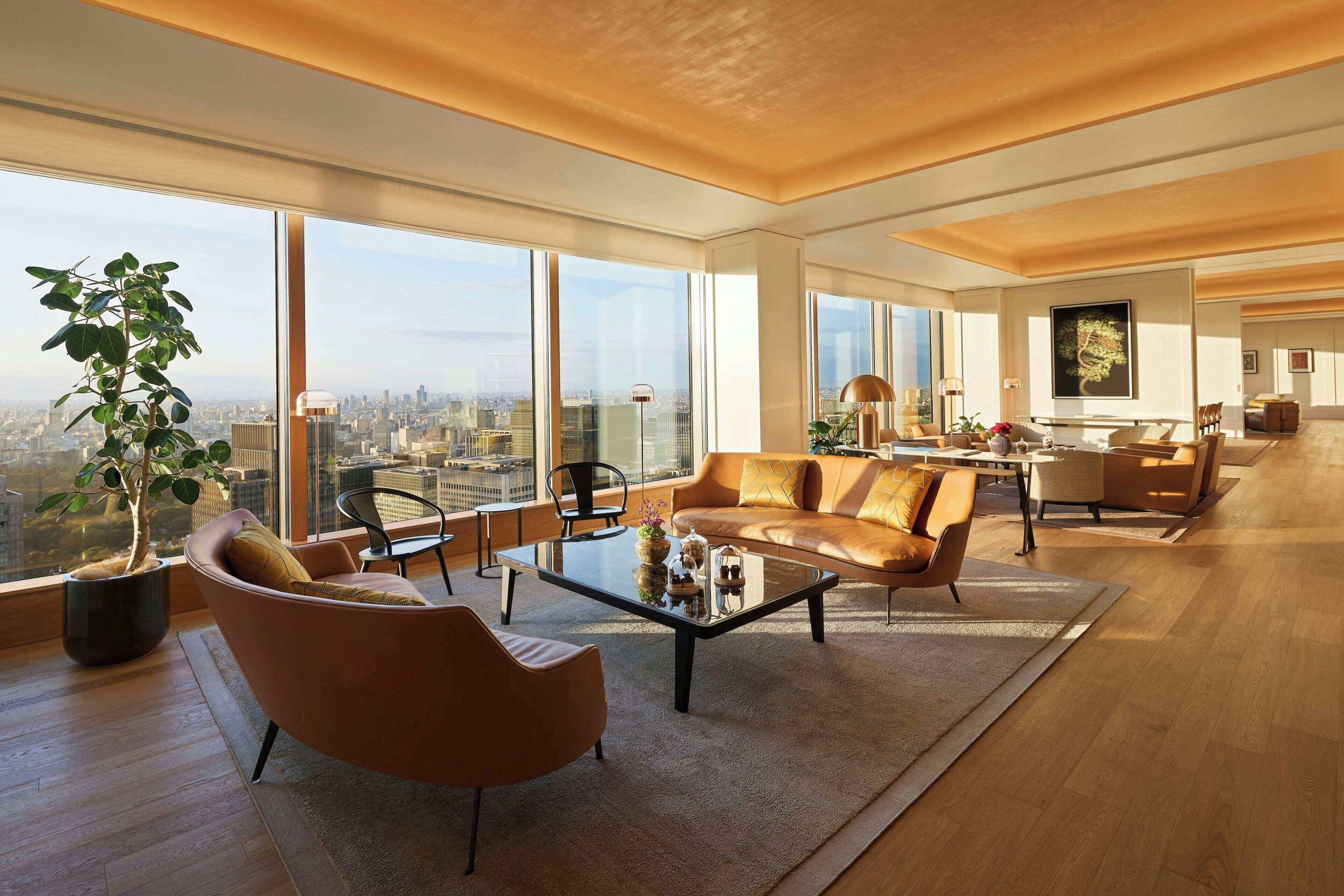 55-inch flat-screen TV with satellite channels, TV