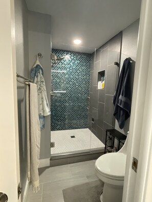 Douche, sèche-cheveux, serviettes fournies, savon