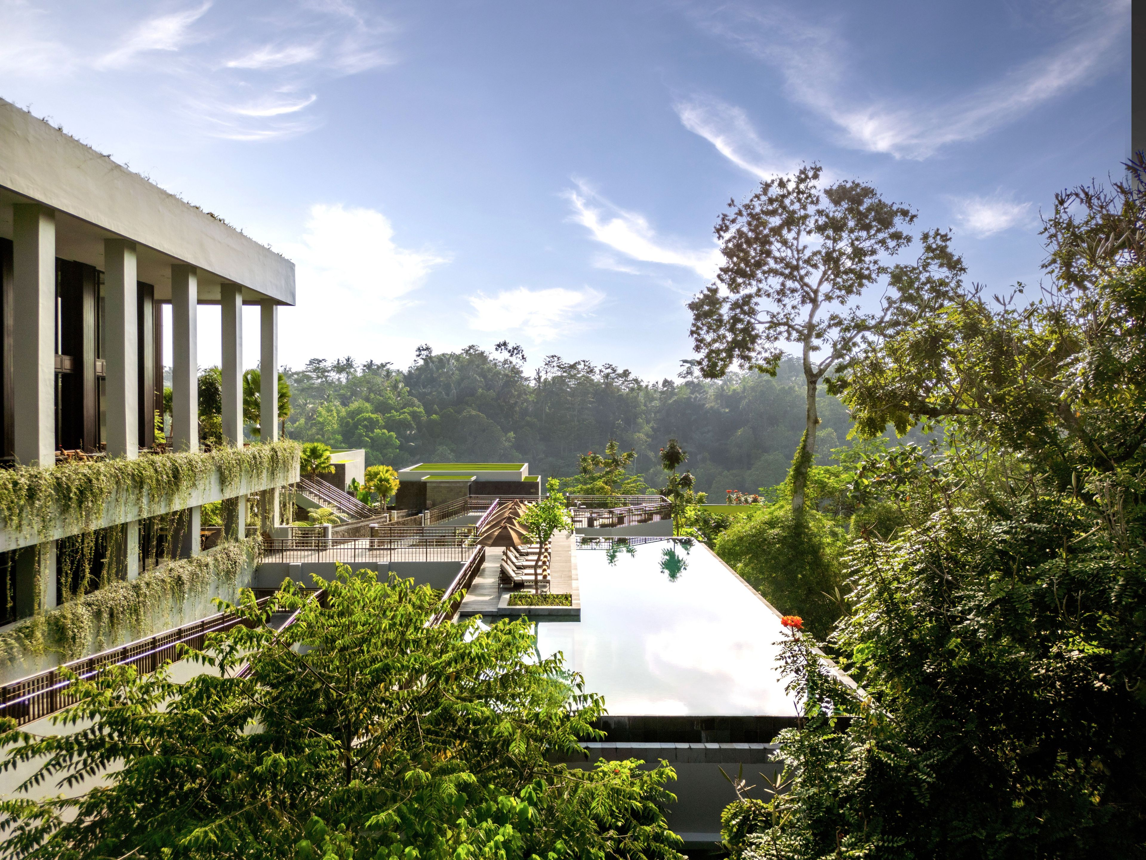 A modern building with a pool, surrounded by lush greenery and a clear sky.