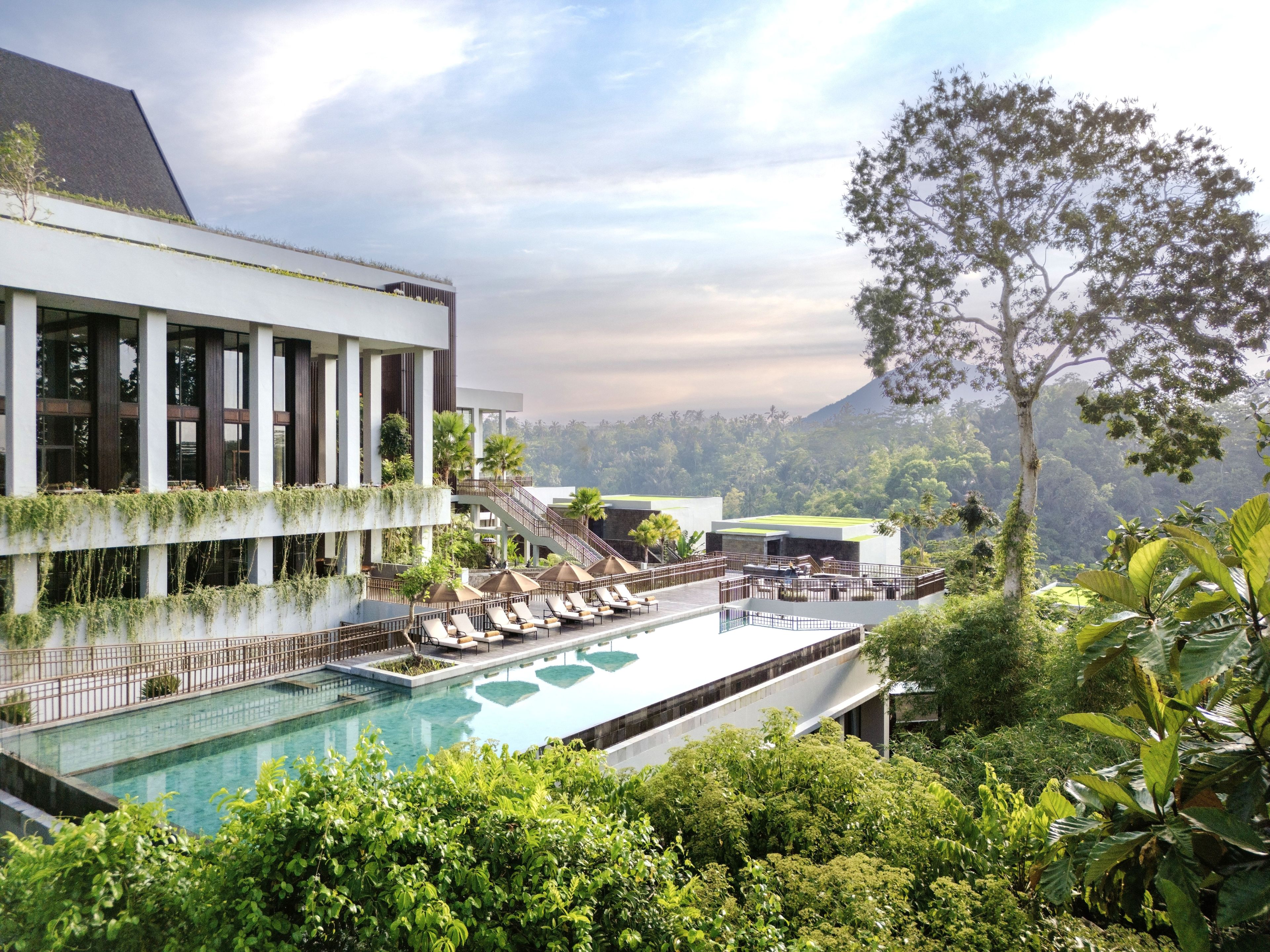Un hotel moderno con piscina, asientos al aire libre y abundante vegetación.