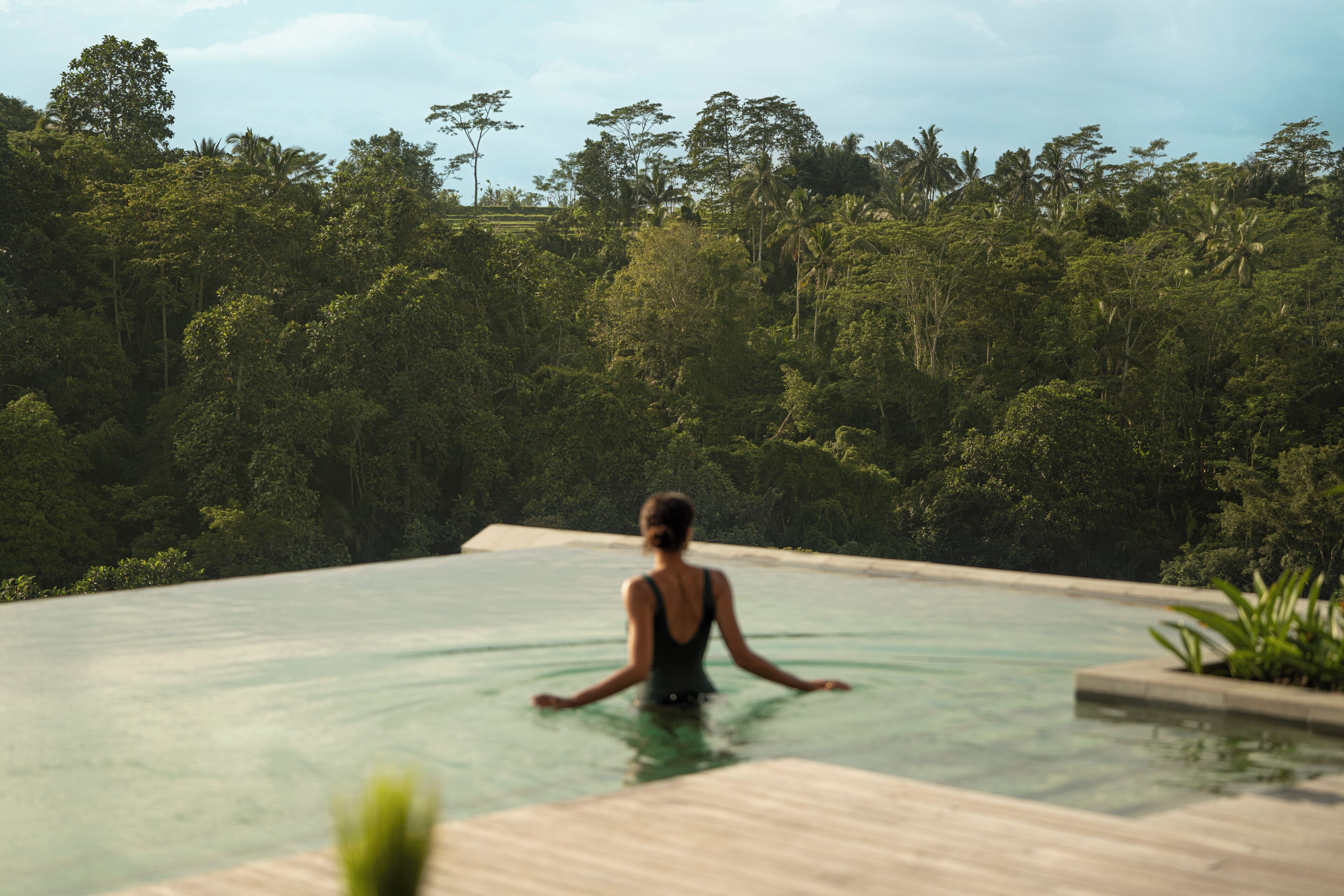 Una persona en una piscina con vista a un bosque denso.