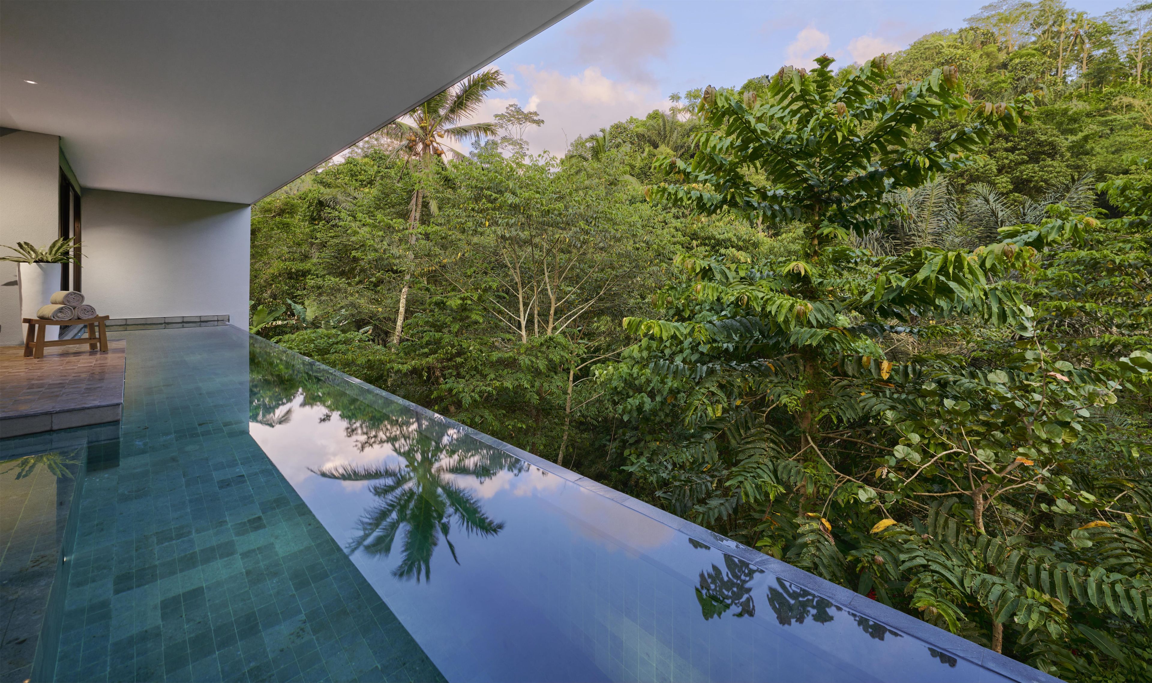 A modern infinity pool with a clear view of lush greenery and a palm tree.