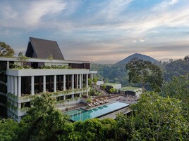 2 piscinas al aire libre, sombrillas, sillones reclinables de piscina