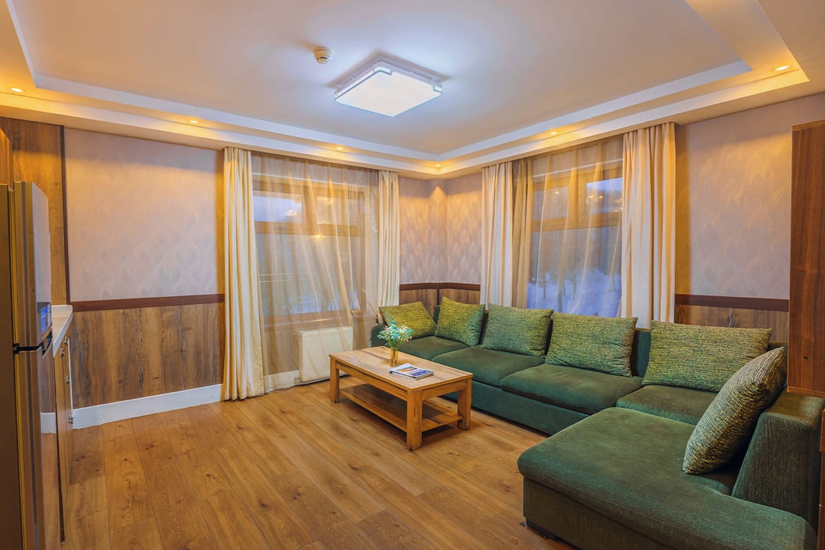 A modern living room with a green sofa, wooden coffee table, and a ceiling light.