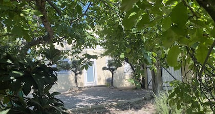 Maison avec grand terrain arboré
