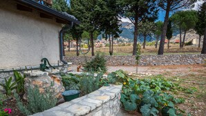 Jardín con pared de piedra, diversas plantas y un sendero de piedra.