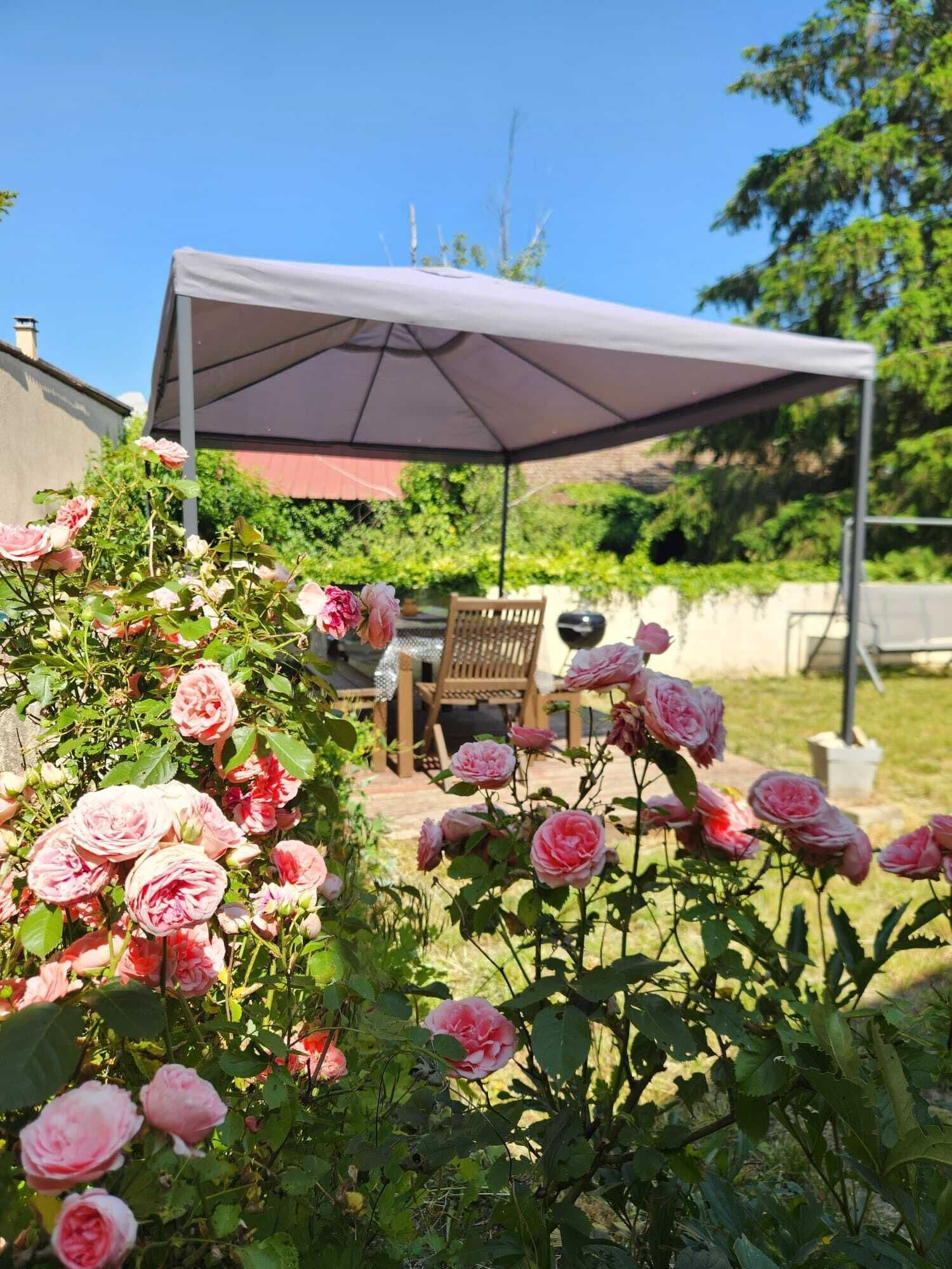 Terassi/patio