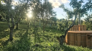 Un espace extérieur paisible, agrémenté d’arbres et d’une structure en bois.