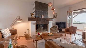 TV, fireplace, DVD player, books
