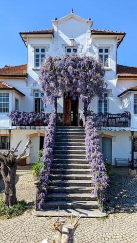 Private Historic Villa with Large Pool 