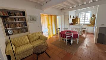 Smart TV, caminetto, libri, impianto stereo